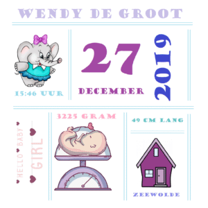 Geboortetegeltje jongen/meisje (incl. bedrukking)