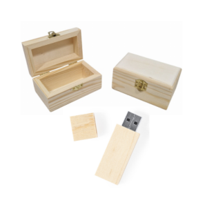 Klein grenen kistje met grenen USB stick 16 GB